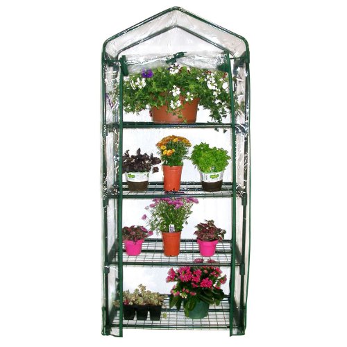 Parkland 4 Tier Mini Greenhouse Cold Frame PVC Plastic Outdoor Garden Steel Frame Plants Grow House